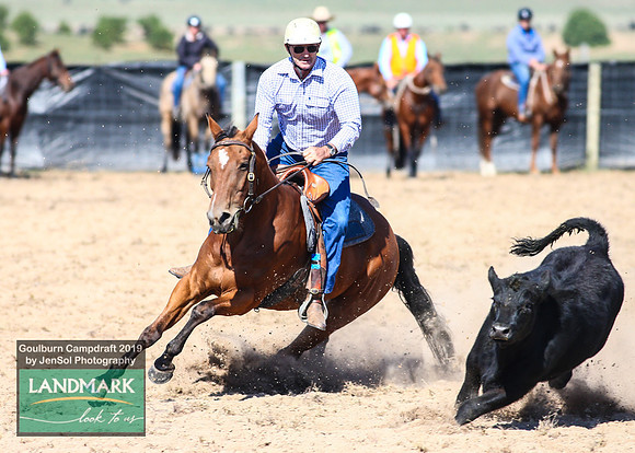 GoulburnCampdraft2019_0429