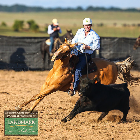 GoulburnCampdraft2019_0081