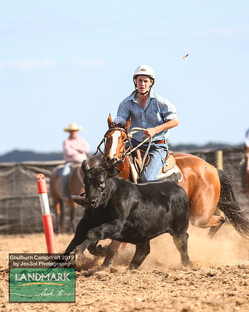 GoulburnCampdraft2019_1902