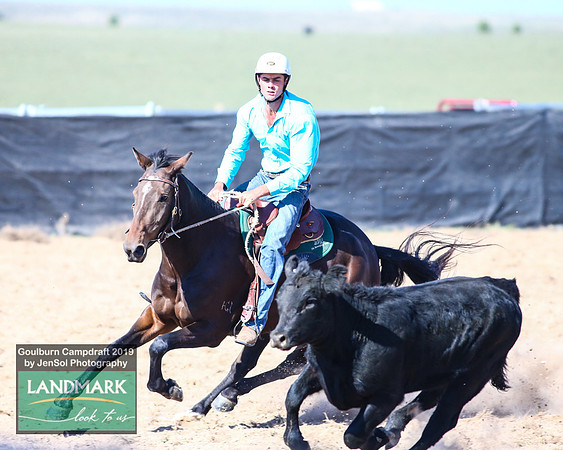 GoulburnCampdraft2019_0369