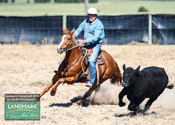 GoulburnCampdraft2019_0511