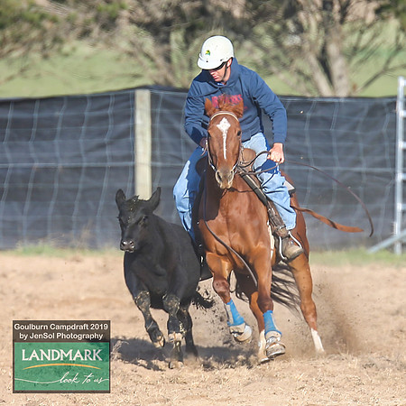 GoulburnCampdraft2019_0141