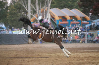 TumutRodeo2016Two_5436