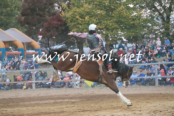 TumutRodeo2016Two_5454