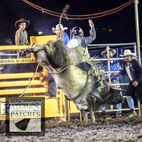 QueanbeyanRodeo2018_0119