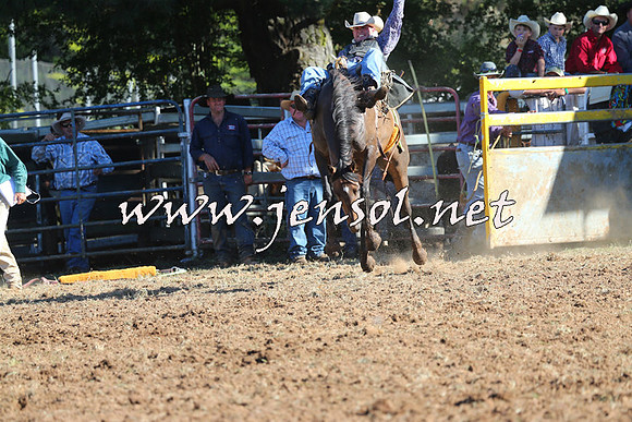 Taralga2015_5688