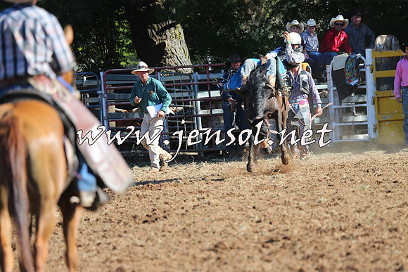 Taralga2015_5841