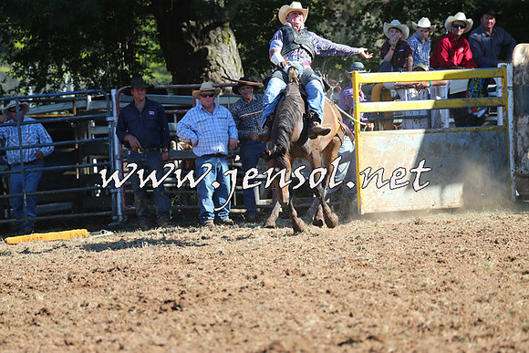 Taralga2015_5691