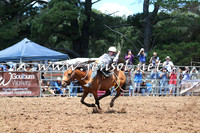 Taralga2015_3690