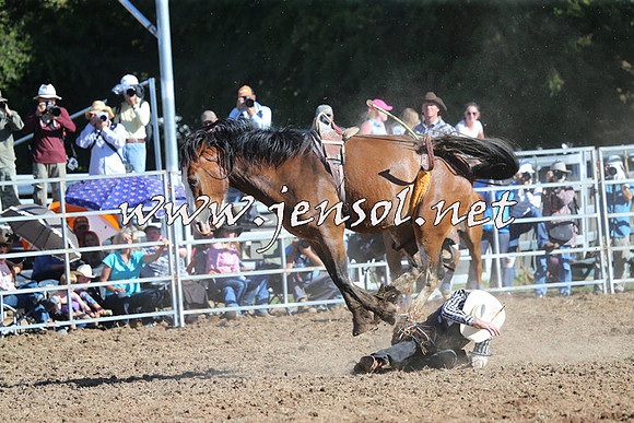 Taralga2015_5459