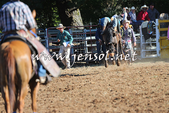 Taralga2015_5837