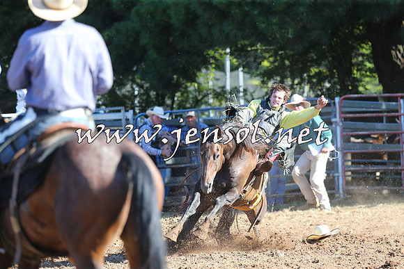 Taralga2015_5492
