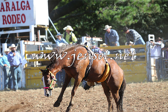 Taralga2015_5669