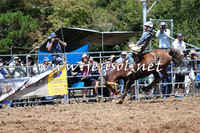 Taralga2015_3697