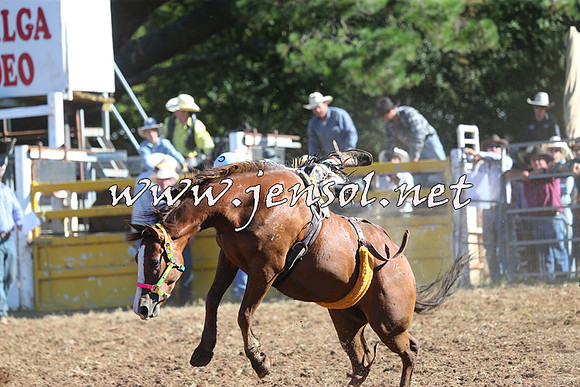 Taralga2015_5671