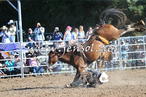 Taralga2015_5456