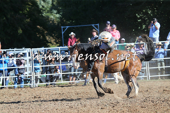 Taralga2015_5444