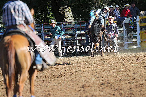 Taralga2015_5833