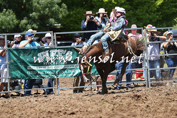 Taralga2015_3710