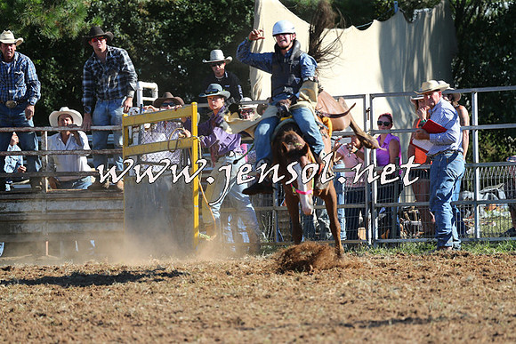 Taralga2015_5614