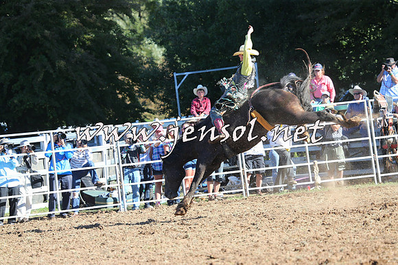 Taralga2015_5760