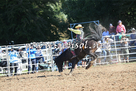 Taralga2015_5761