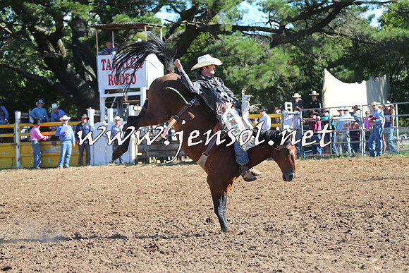 Taralga2015_5579