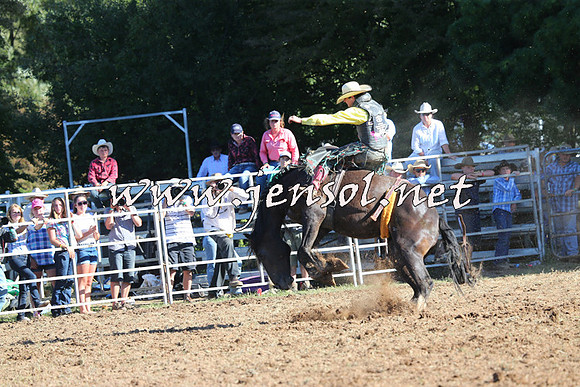 Taralga2015_5768