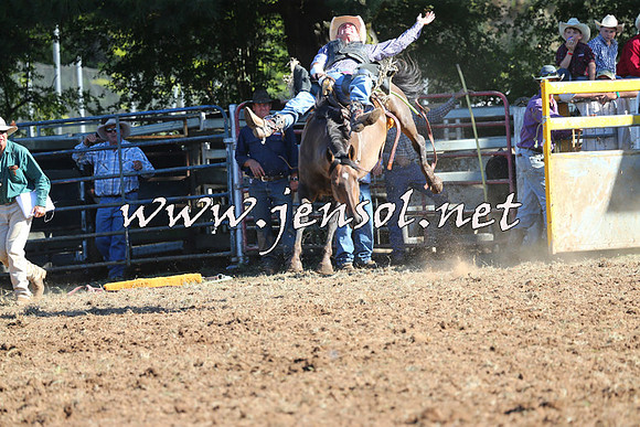 Taralga2015_5692