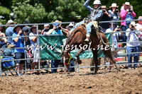 Taralga2015_3708
