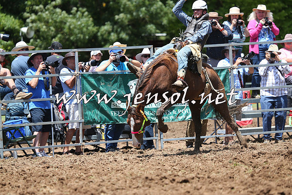 Taralga2015_3708
