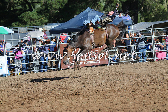 Taralga2015_5713