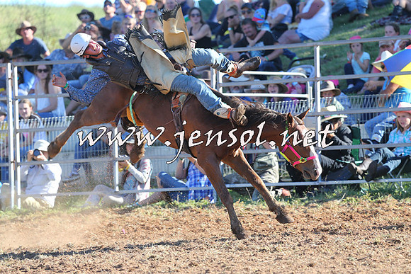 Taralga2015_5620