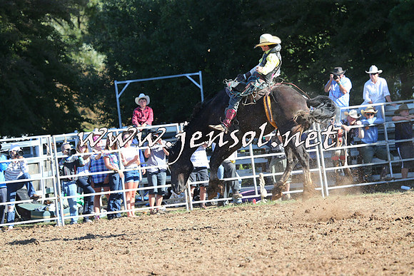 Taralga2015_5763