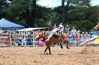 Taralga2015_3689