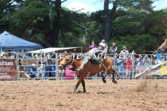 Taralga2015_3689