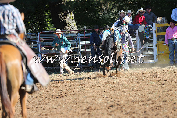 Taralga2015_5843