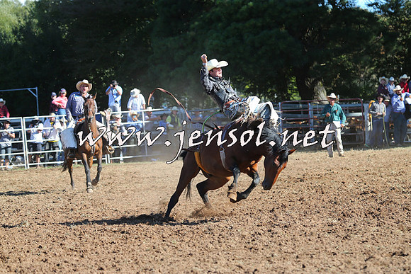 Taralga2015_5568