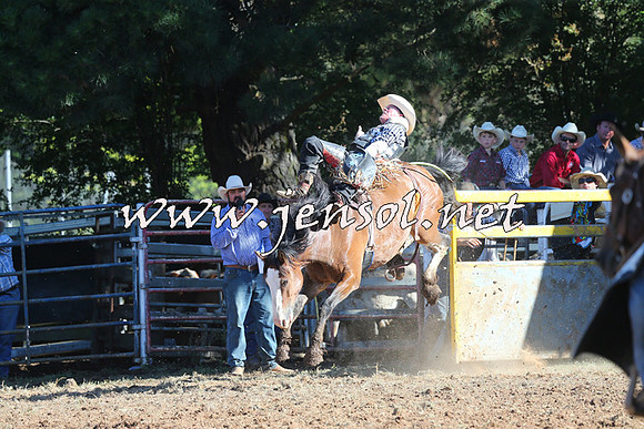Taralga2015_5427