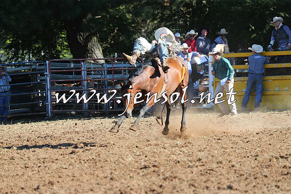 Taralga2015_5540