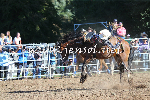 Taralga2015_5449