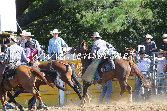 Taralga2015_5590