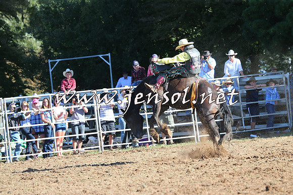 Taralga2015_5769