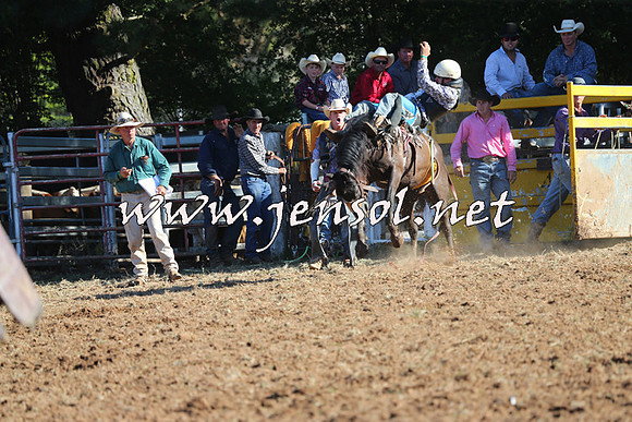 Taralga2015_5823