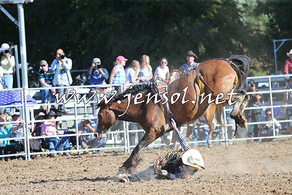 Taralga2015_5461