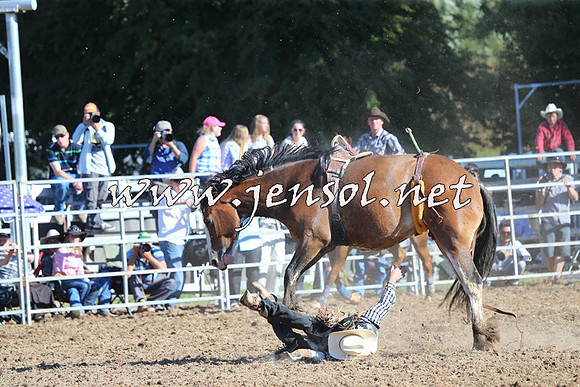 Taralga2015_5457