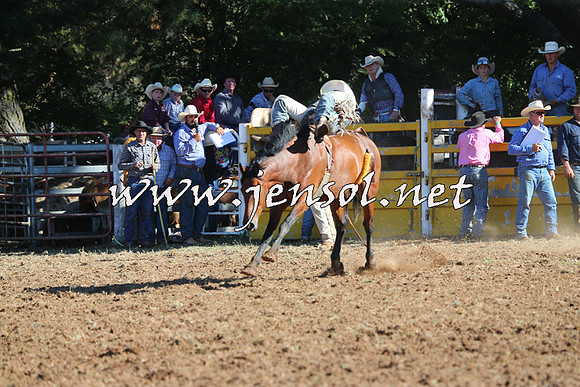 Taralga2015_5526