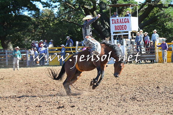 Taralga2015_5557
