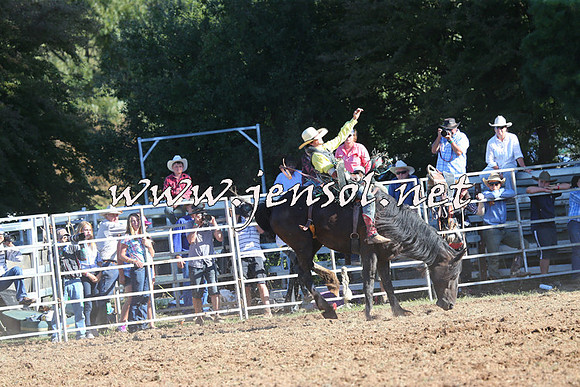 Taralga2015_5786