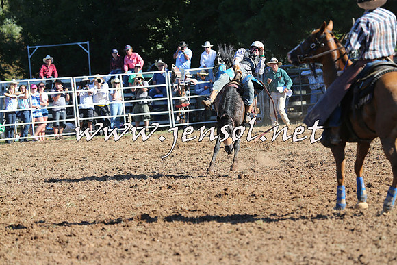 Taralga2015_5847
